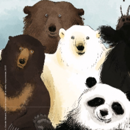 NounOURS, de l’ours des cavernes à l’ours en peluche