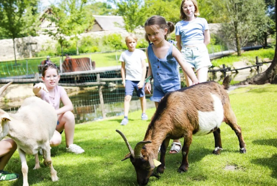 Jardin d'Acclimatation : animaux