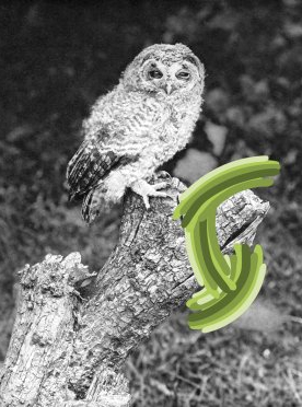 Expo Aller Dehors - La Criée