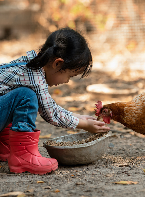 Top des fermes pédagogiques de Paris avec les enfants