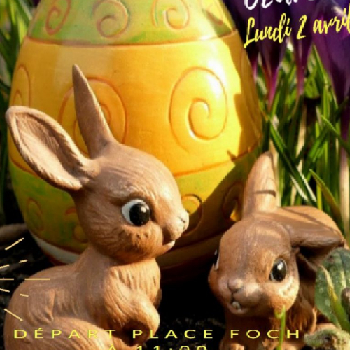 Chasse aux oeufs plan de la tour