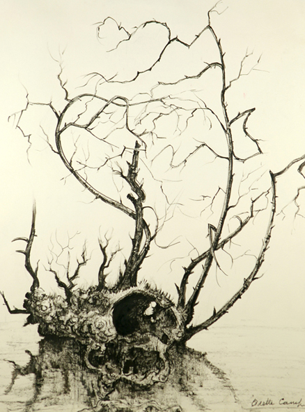 L'esprit des bois, Odette Camp