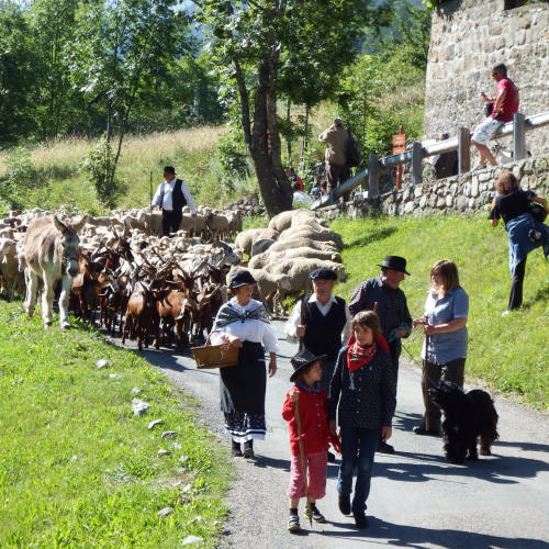 Fête de la Transhumance à Saint-Etienne-de-Tinée