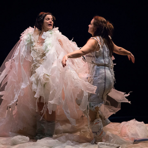 fayas collectif la palmera