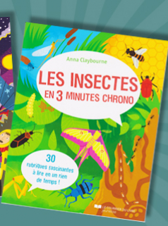 slider 3 minutes chrono météo et insectes