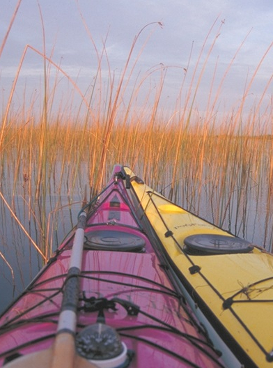 Canoë-kayak sur la Leyre