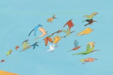 La Cabane aux oiseaux : vol d'oiseaux