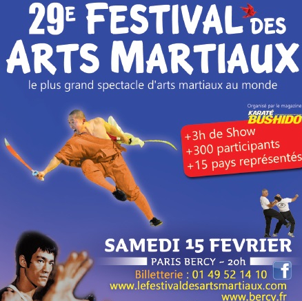Festival des arts martiaux