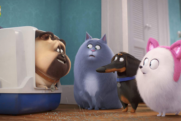 Comme des Bêtes 2 - Litière