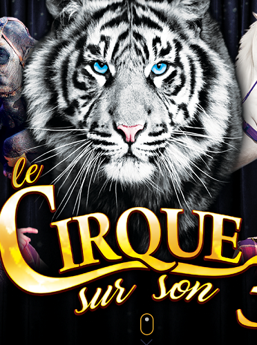 Cirque sur son 31