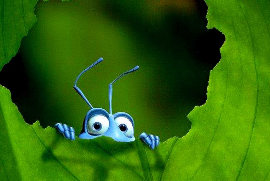 1001 pattes : affiche "Que le monde est petit"