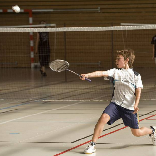 Badminton Club Oullins - BACO