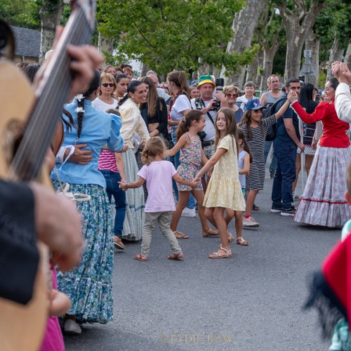 Festival de Gannat