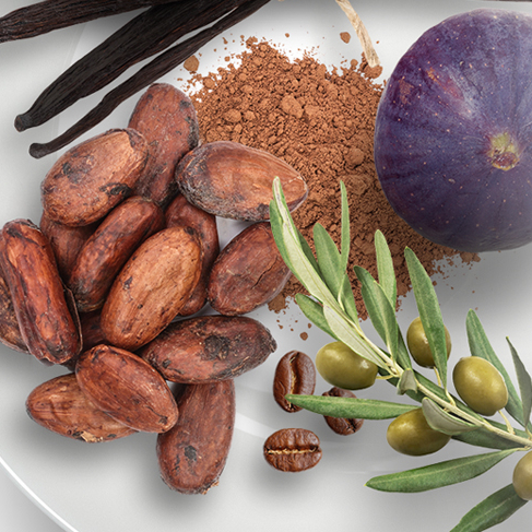 Semaine de l'Agroforesterie à Montpellier