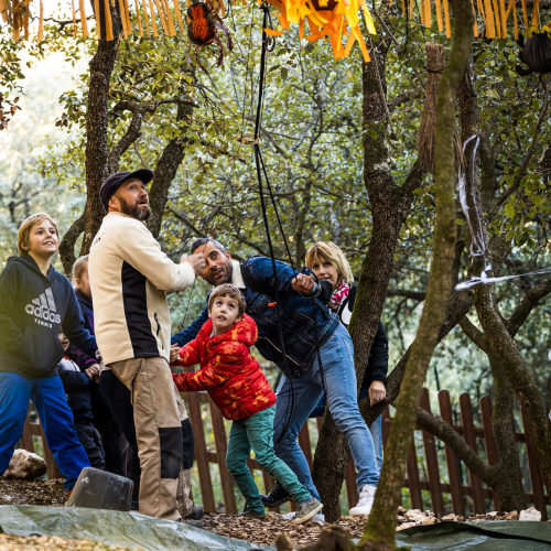 Au pays des carrioles