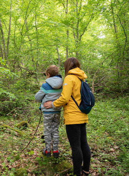 Rendez-vous nature à la Forêt de la Comté