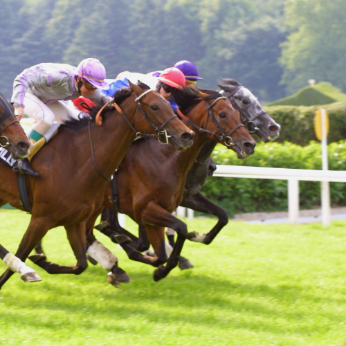 Hippodrome de Lyon Parilly