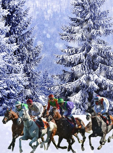 Noël 2019 à l'Hippodrome de Toulouse