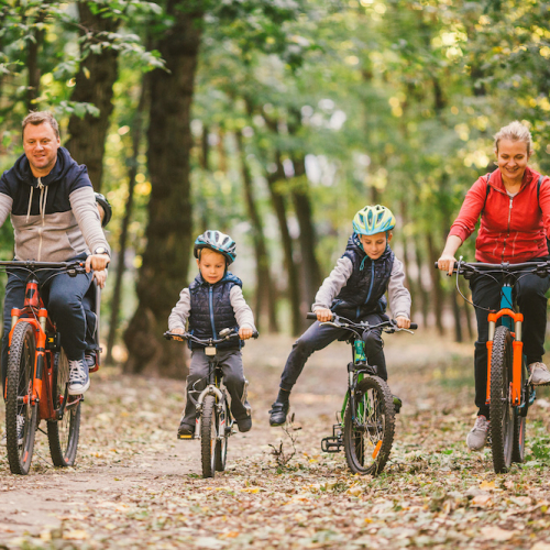 Famille à Vélo en forêt