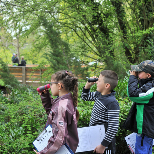 Zoo de Lille : Des enfants observent la nature et les animaux avec des jumelles