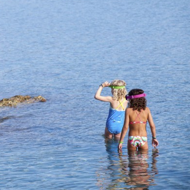 Découverte des fonds marins de Martigues