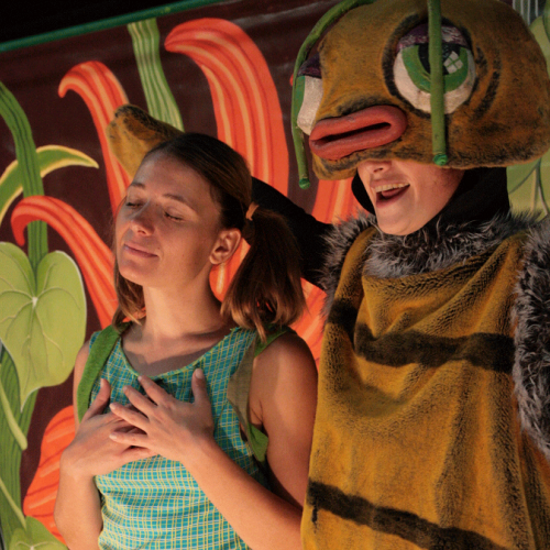 Noémie et le mystère de la chrysalide - Cie Le Soleil dans la nuit