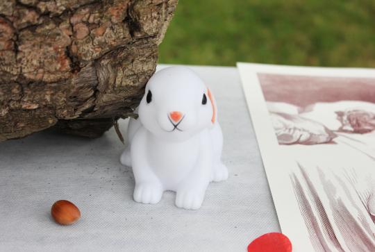 Un décor de forêt enchantée