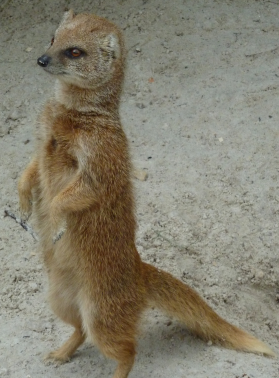 Mais t'es qui toi???