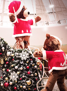 Concours photo 2016 Mon beau sapin de Noël