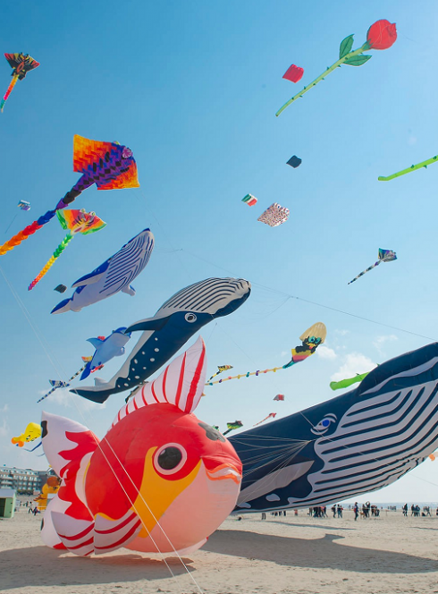 Rencontres Internationales de Cerfs-Volants : envolées de cerfs-volants