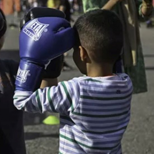Festisports Image
