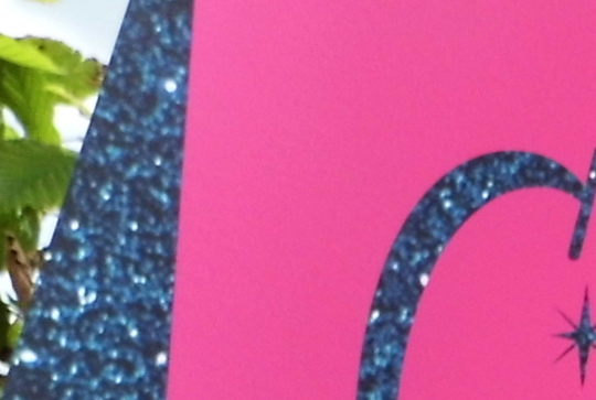 Paris CinéMômes 2013