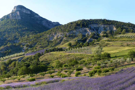 Parc Naturel Régional des Baronnies provençales