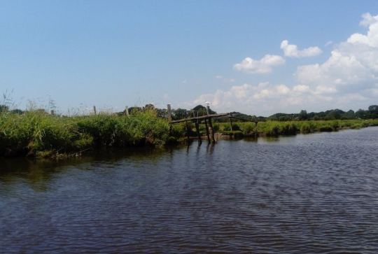 Parc naturel régional de Brière