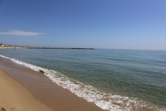 Plage de Barcelone