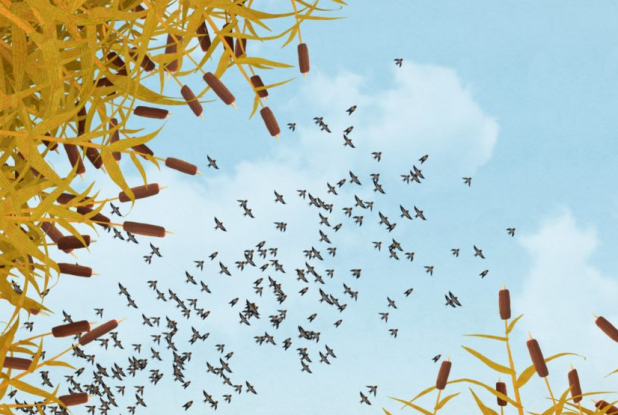 Willy et le lac gelé - Oiseaux dans le ciel