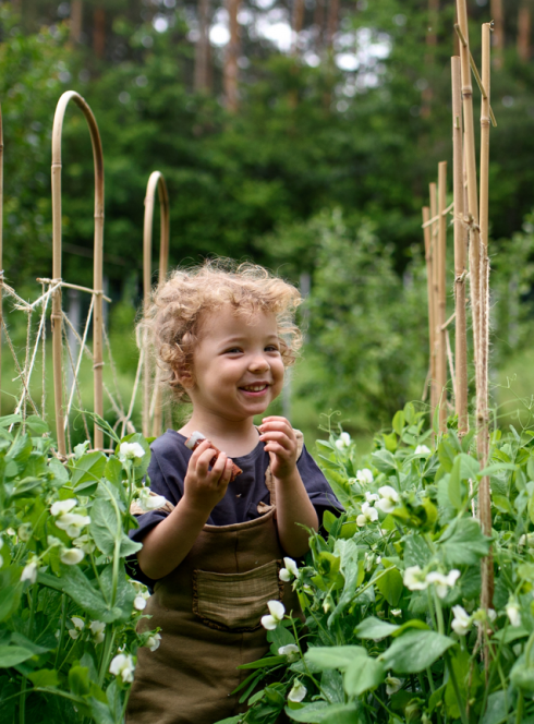 Rendez-vous aux jardins 2023 Rennes