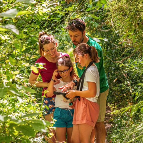 Le Grand Défi : explor game