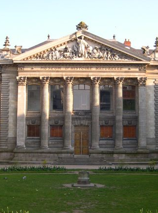 Muséum d'Histoire Naturelle de Nantes
