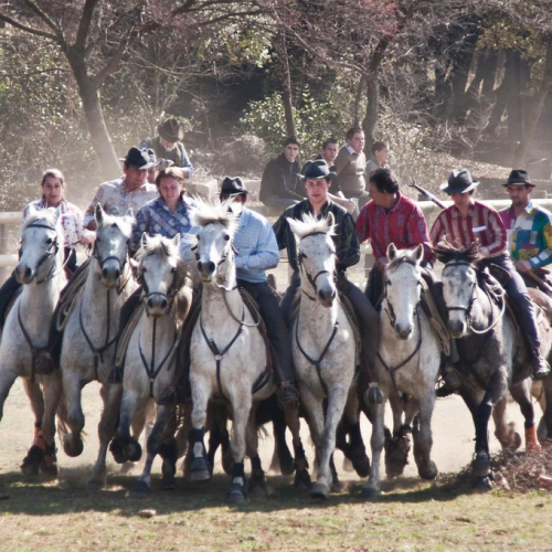 Journée nationale du Cheval Vendargues
