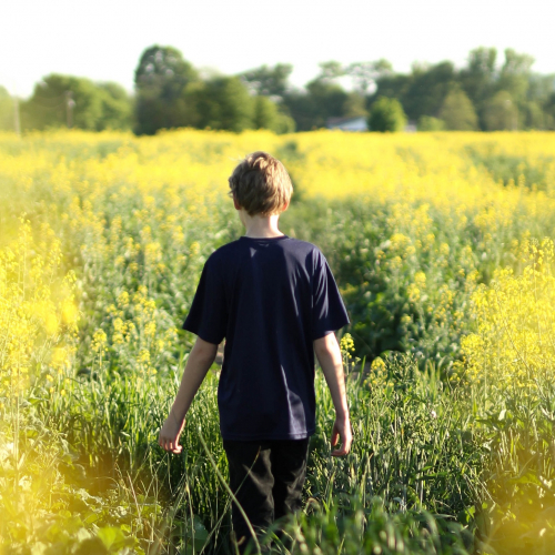 Fête de la Nature 2019 dans les Bouches-du-Rhône