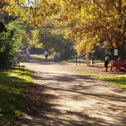 Bois du Burck de Mérignac (Bordeaux)