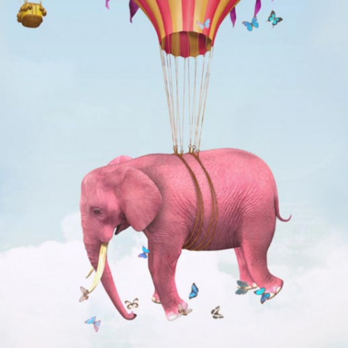 Contes en balade 2019