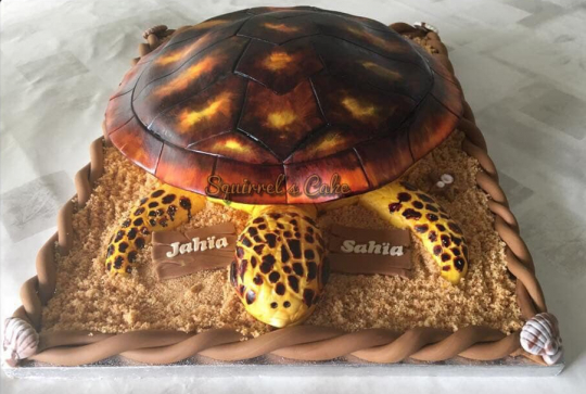 Gâteau tortue