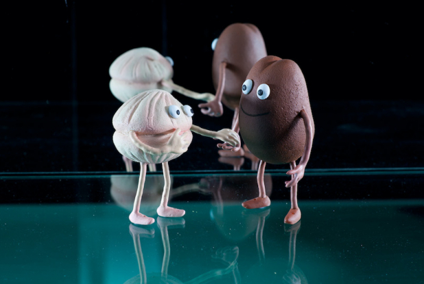 Vaikiki : truffe au chocolat