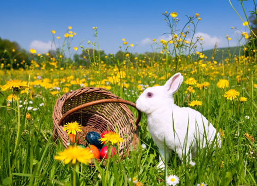 Chasse aux oeufs 2014 au Champs de Mars