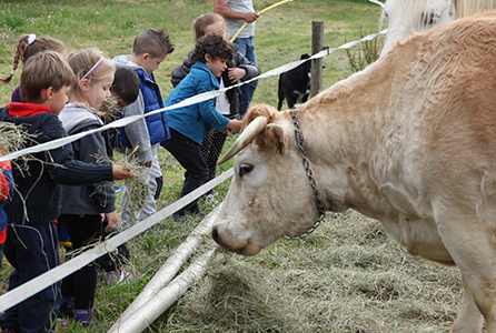 Ferme pédagogique des Pennes-Mirabeau