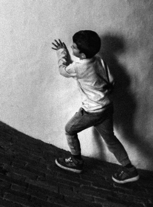 Le Carnaval des animaux - Orchestre national de Lyon