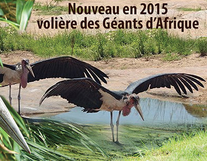 Nouveauté 2015 à la Bourbansais : volière des Géants d'Afrique