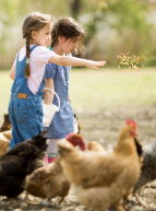 De ferme en ferme Hérault